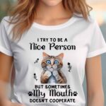 I try to be a nice person Ladies T-shirt