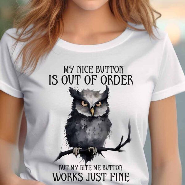 My nice button Ladies T-shirt