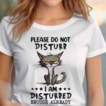 Please do not disturb Ladies T-shirt