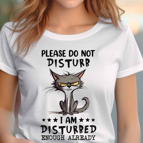Please do not disturb Ladies T-shirt